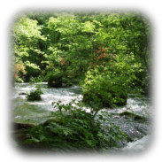 青森　奥入瀬渓流